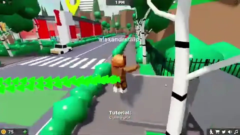 Pet Store Tycoon roadside plot with Tutorial Claim a plot, Coin counter, and the Twitter bird on the HUD